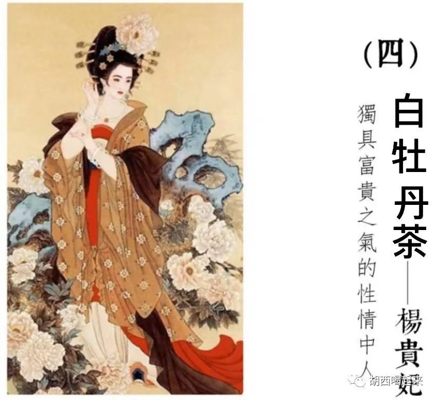 美人以茶喻，名茶鉴美人：四大美人与四大名茶的风雨传奇