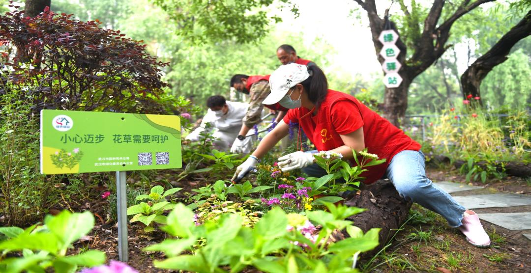 武汉园林城市,武汉生态园林城市