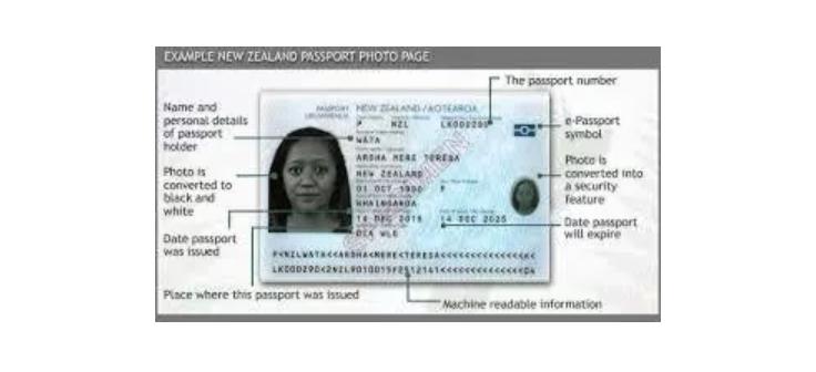 新西兰免签入境吗,持新西兰护照能免签入境哪个国家