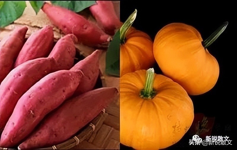 在甘肃皋兰，那个时代的野菜，某种意义上是奢侈品