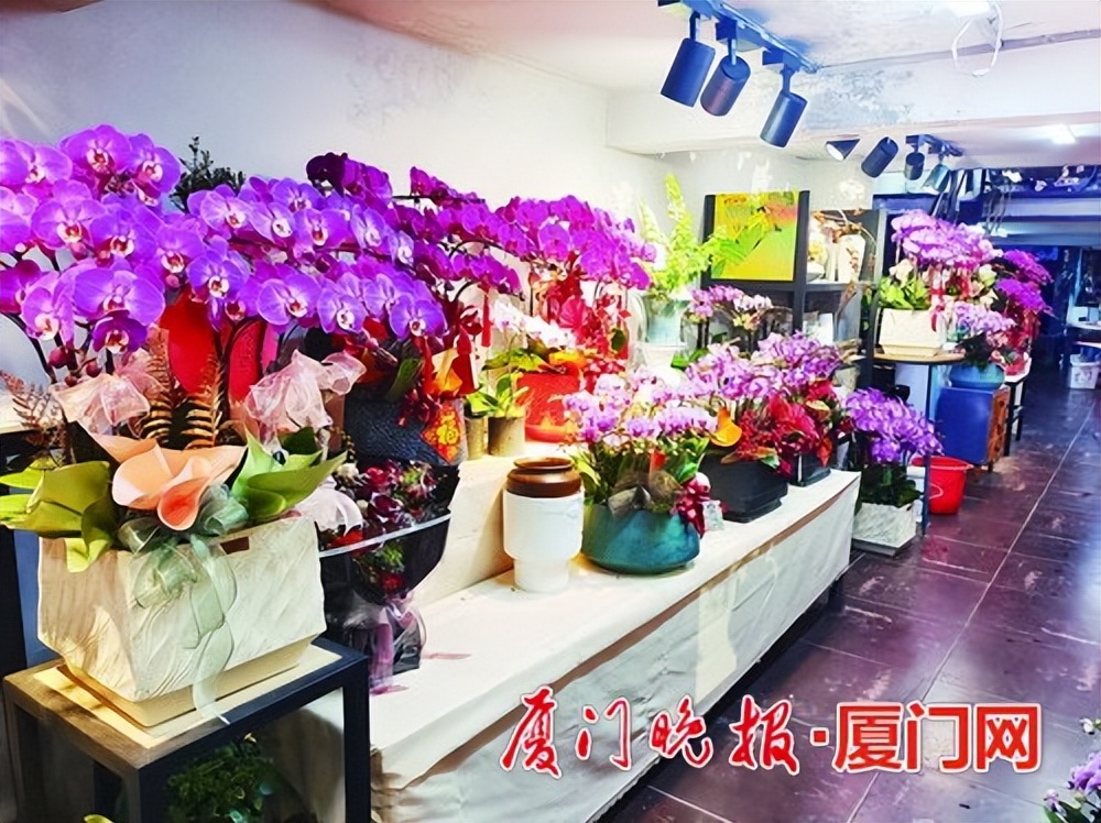 厦门新年花卉市场,厦门大型花卉市场有哪些