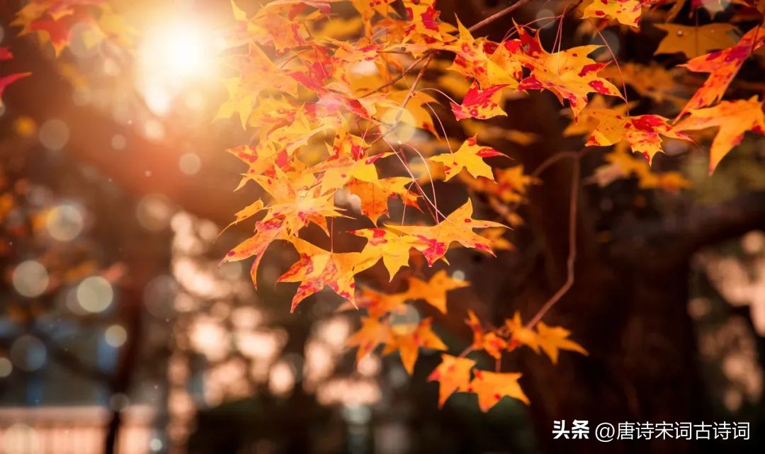 请你说说秋天是什么颜色的呢,秋天是什么颜色短句