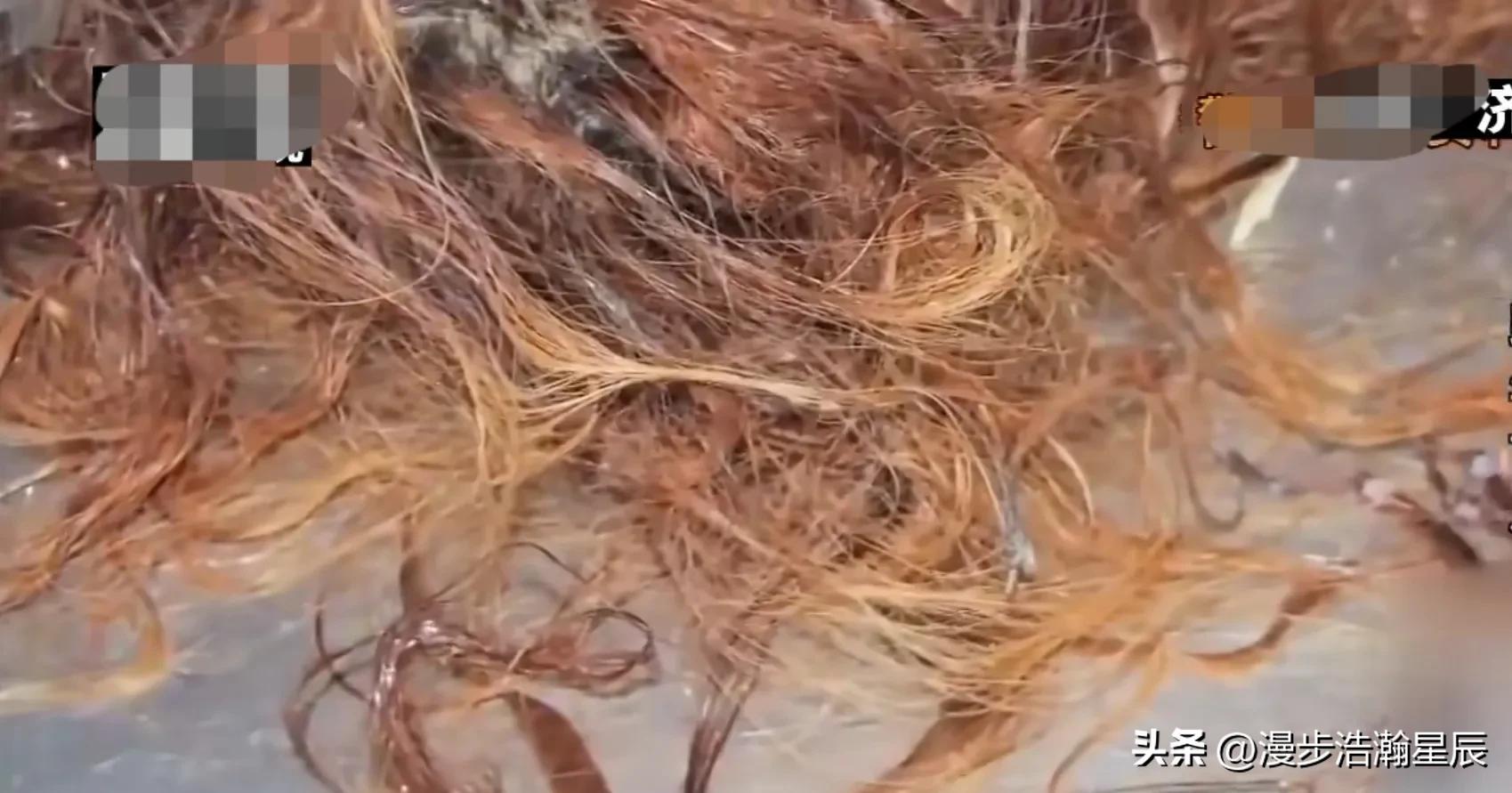 年轻女孩被抛尸河里，凶手竟然犯案之前已经死亡