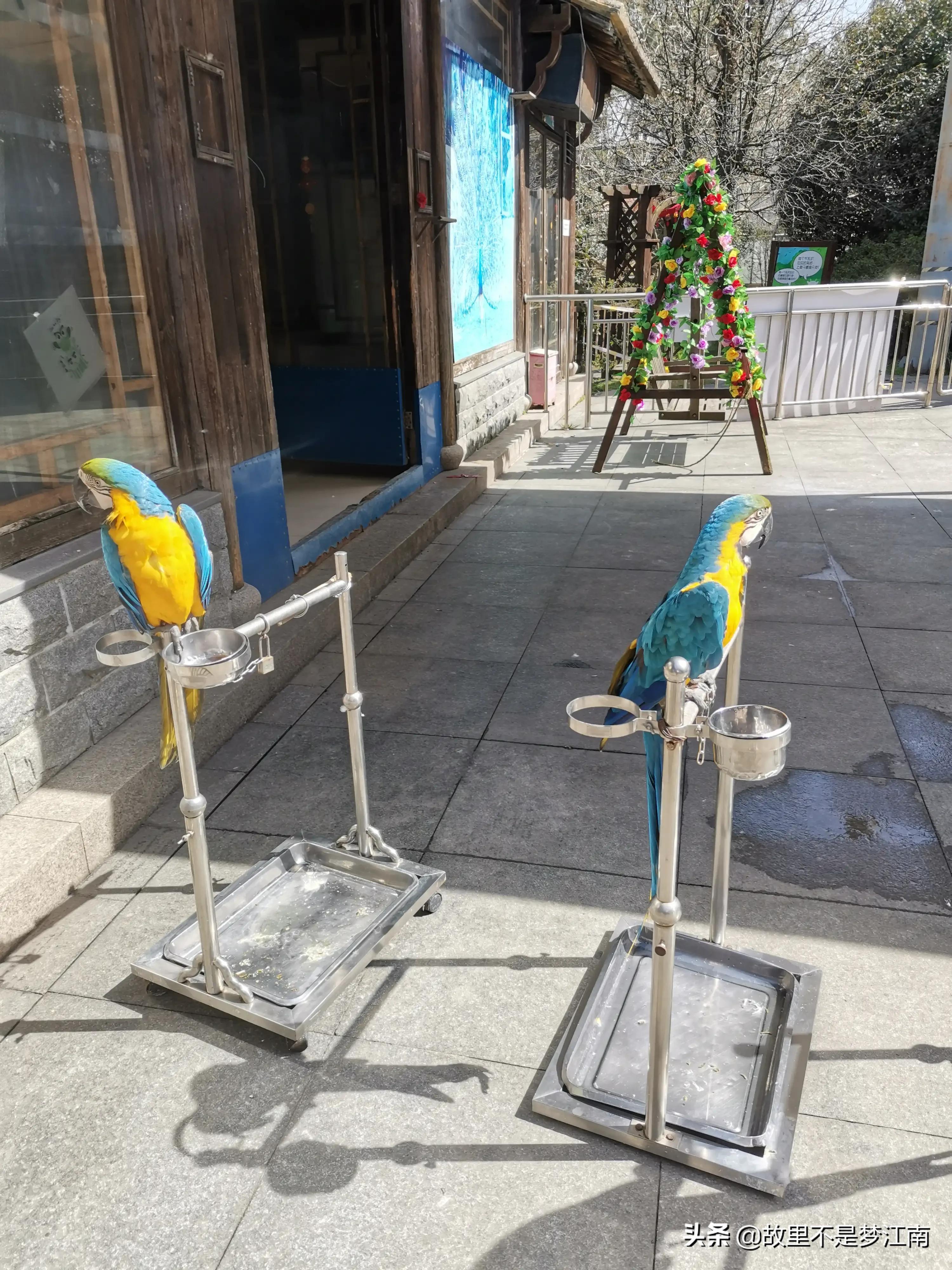 百鸟园儿童乐园,百鸟公园儿童乐园