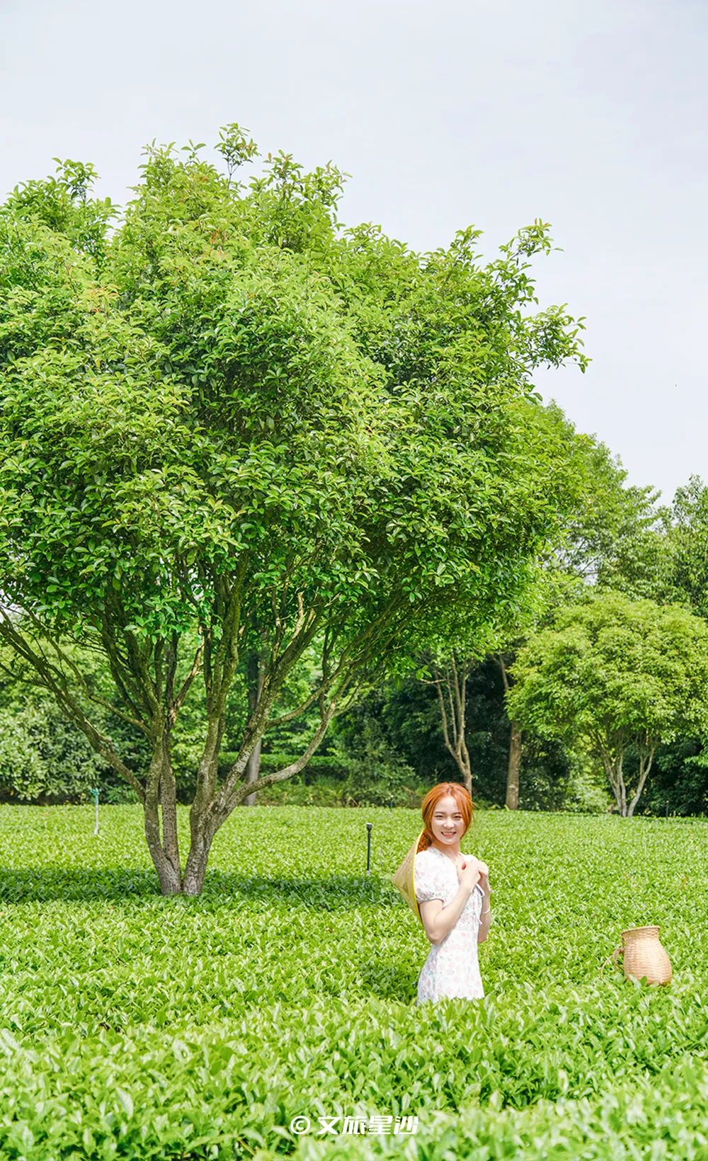 星沙五一去哪里玩,夏季长沙星沙吃喝玩乐攻略