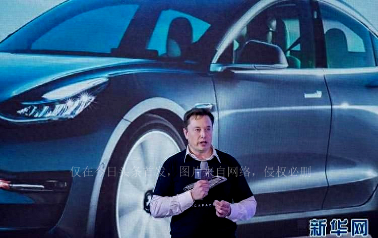 空姐曝光马斯克,马斯克空姐后续