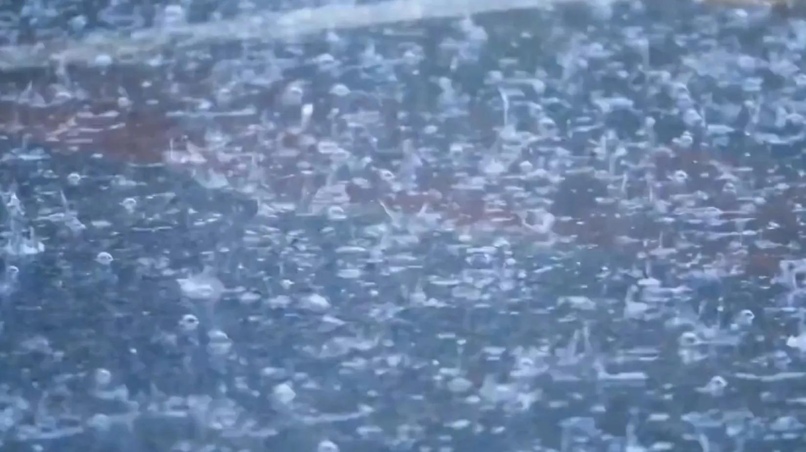 立夏下雨是好还是不好呀,立夏下雨好吗有什么说法