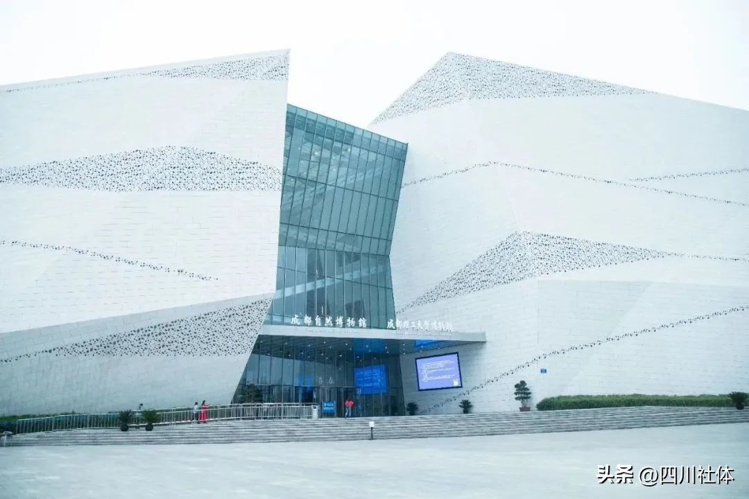 2022中国飞盘联赛总决赛杭州,2022首届中国飞盘联赛