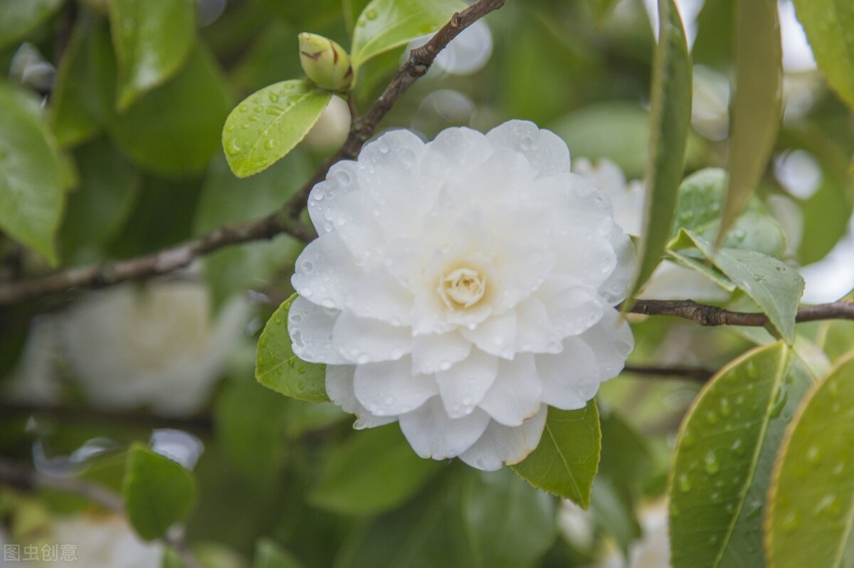 如何和对方聊得舒服,跟女孩子聊天如何引起对方的兴趣