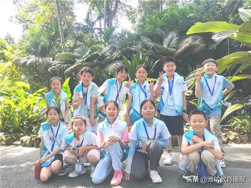 潍坊中新双语好进吗,潍坊中新双语校园