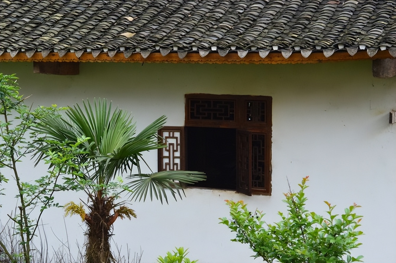 大城武汉,小城恩施——绿油油的伍家台