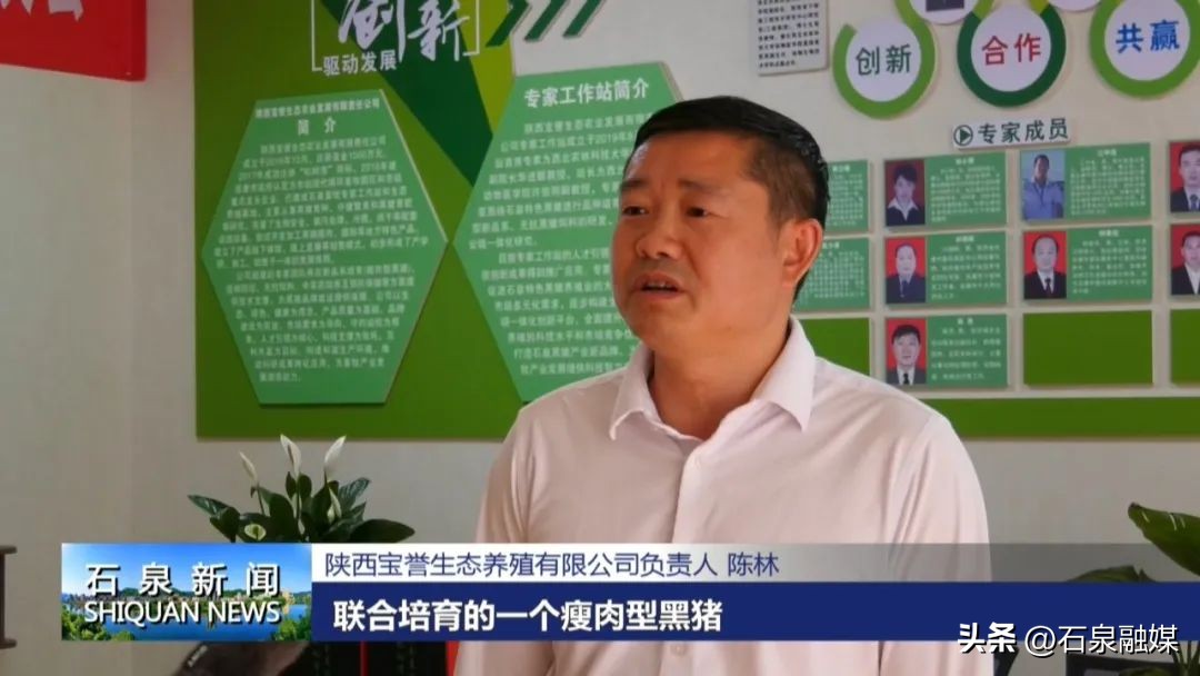 走基层看发展——池河镇丨石泉县池河镇：构建生猪全产业链条助推产业高质量发展