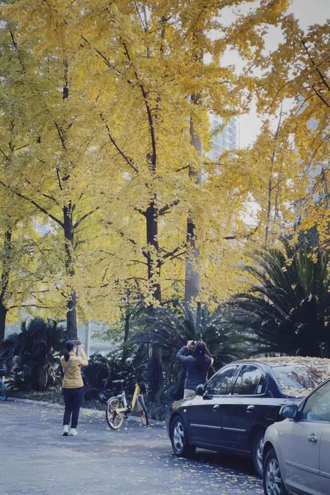 给陌生的你化一次妆,给陌生的你化妆