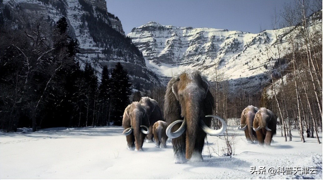 天津科技博物馆近期展览,天津科技展览馆体验馆