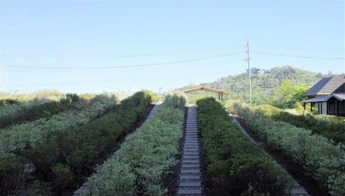 文圣茶说丨日本「界远州」茶文化酒店