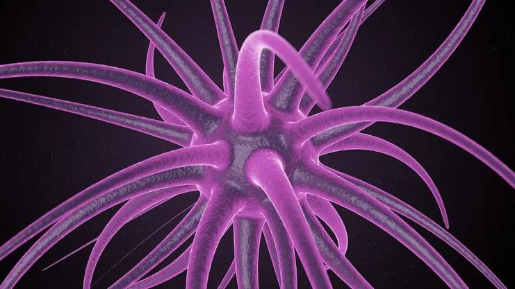 胆红素高用什么药可以很快降下来,直接胆红素和总胆红素高吃什么药