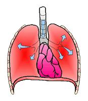 体检医生的陷阱,医生检查项目骗局