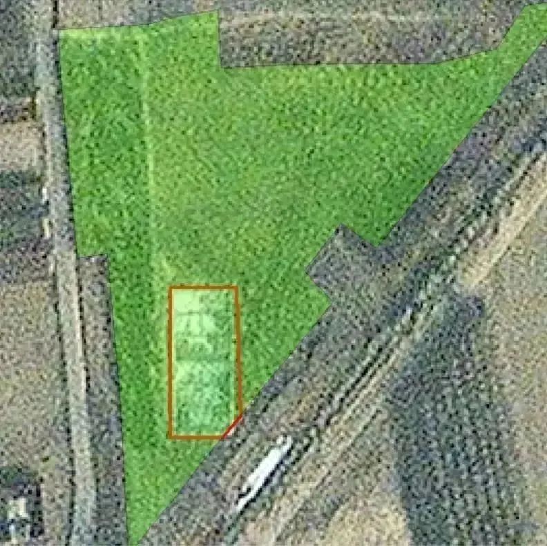 智慧林业关键技术有哪些,清研智行做什么的