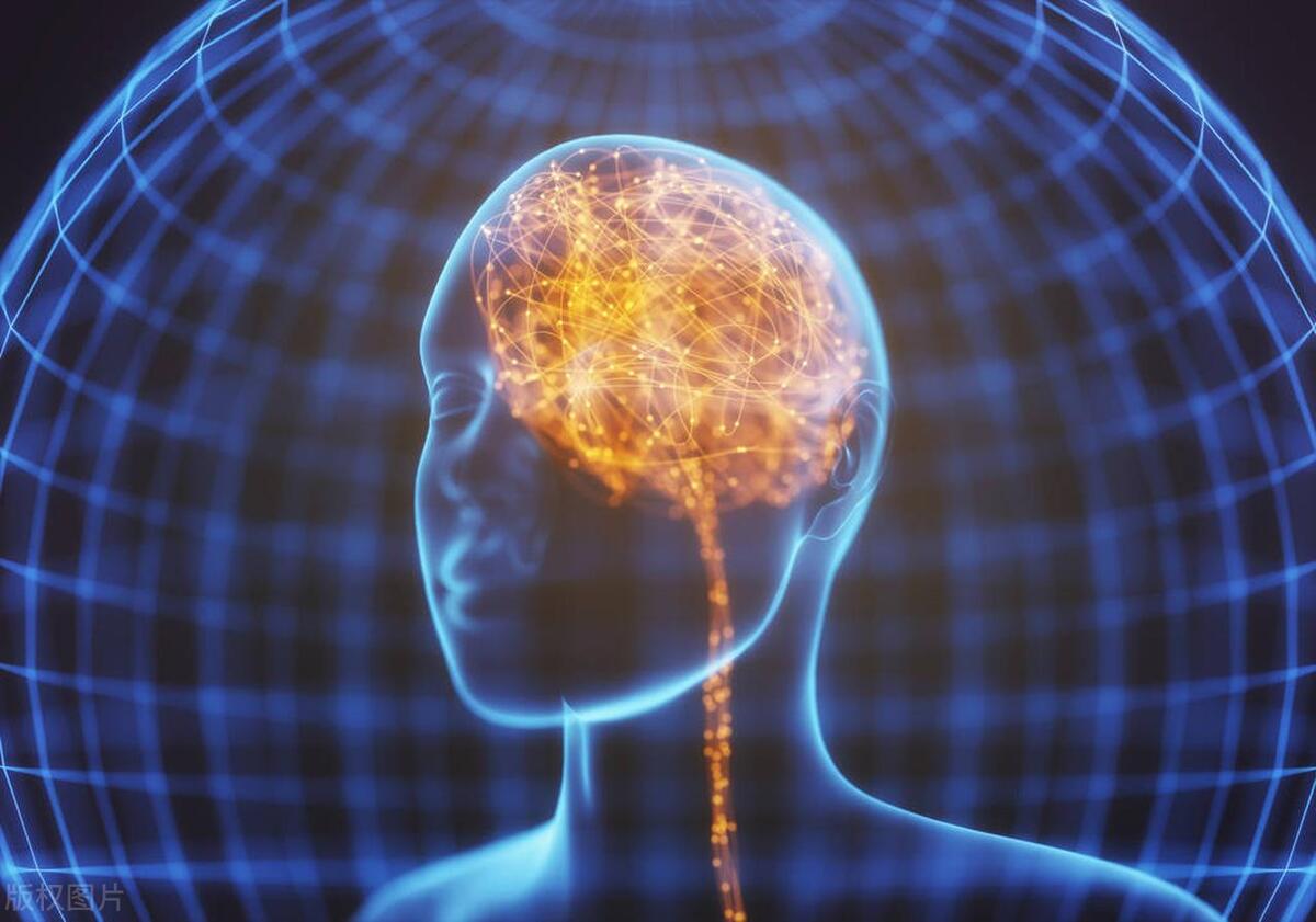 给大家分享十个有趣的冷知识,冷门又有趣的知识你知多少