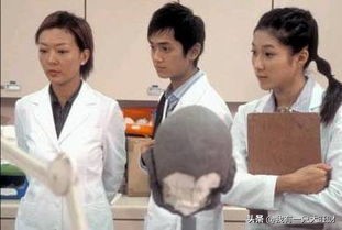 法证先锋1古泽琛和汀汀结婚,法证先锋古泽琛和汀汀