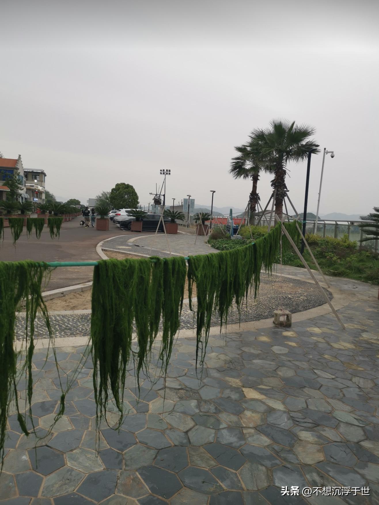 浙江强蛟镇在哪,宁海强蛟岛