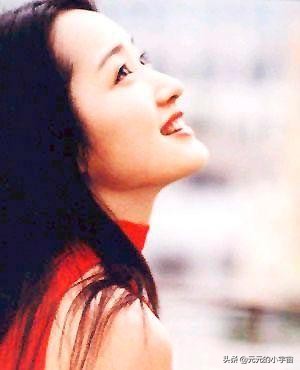 唱片公司拒签，差点嫁给警察，被赖文峰宠成公主后跌至深渊