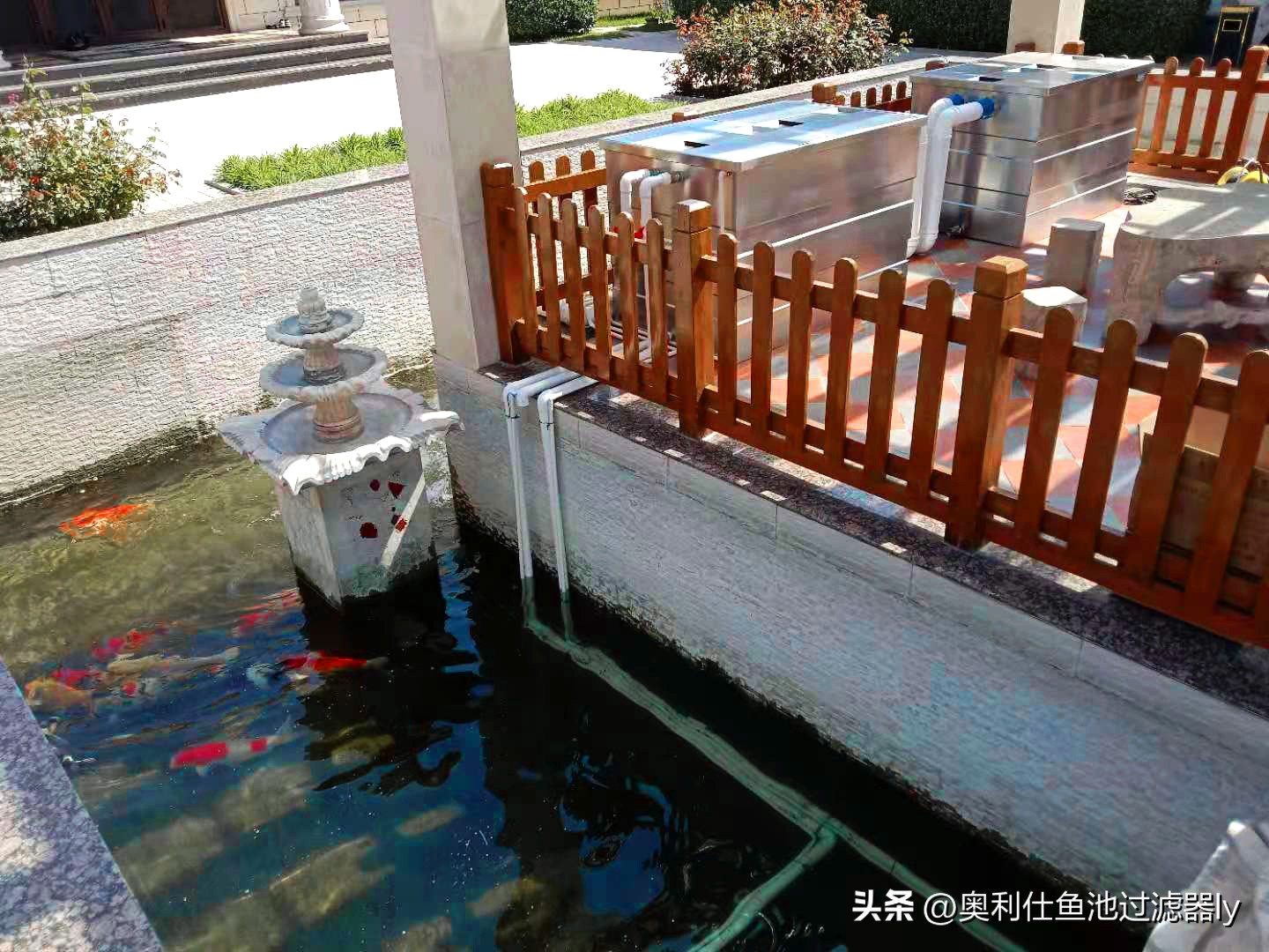 一百平方锦鲤鱼池水净化过滤系统,全自动过滤系统锦鲤鱼池施工方案