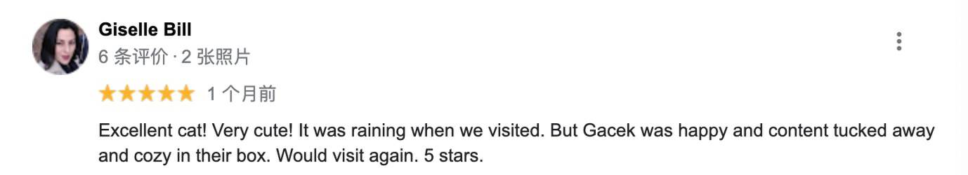 一只流浪的肥猫,波兰一流浪猫成5星旅游景点