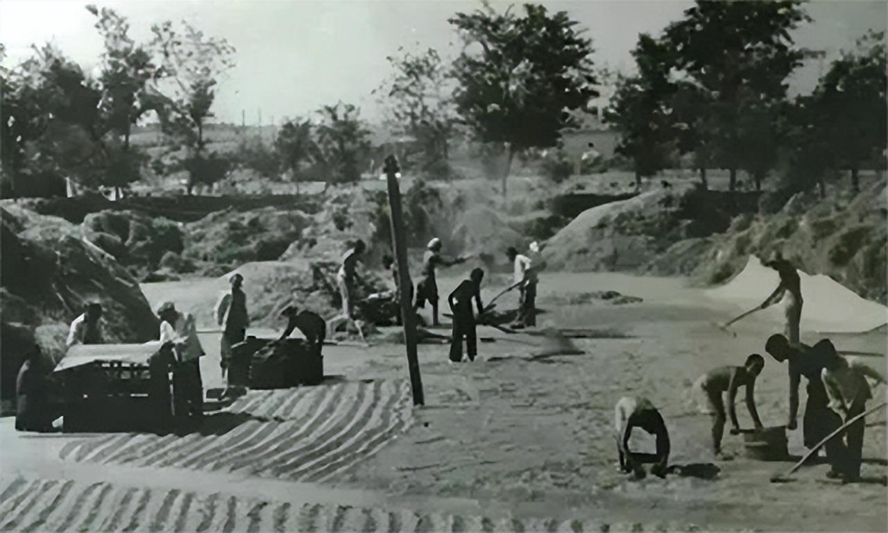 1992年，弥留之际的*先念李**留下唯一请求：将骨灰撒到曾经战斗之处