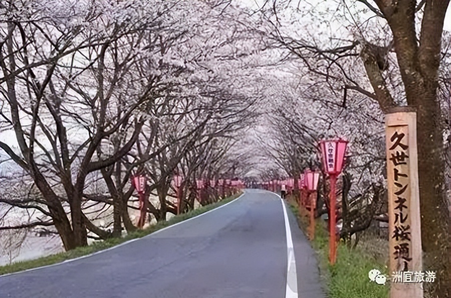 2022日本工作签证种类及办理流程