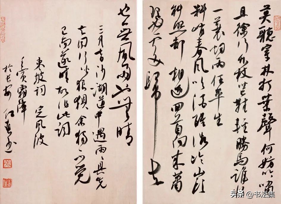 百卉争春——中国书协第八届女书家委员会委员作品选刊