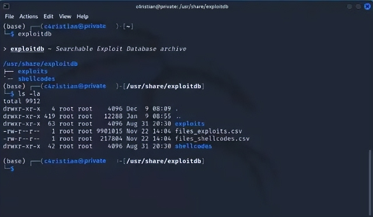 黑客和编程语言有关吗,黑客首选什么编程语言