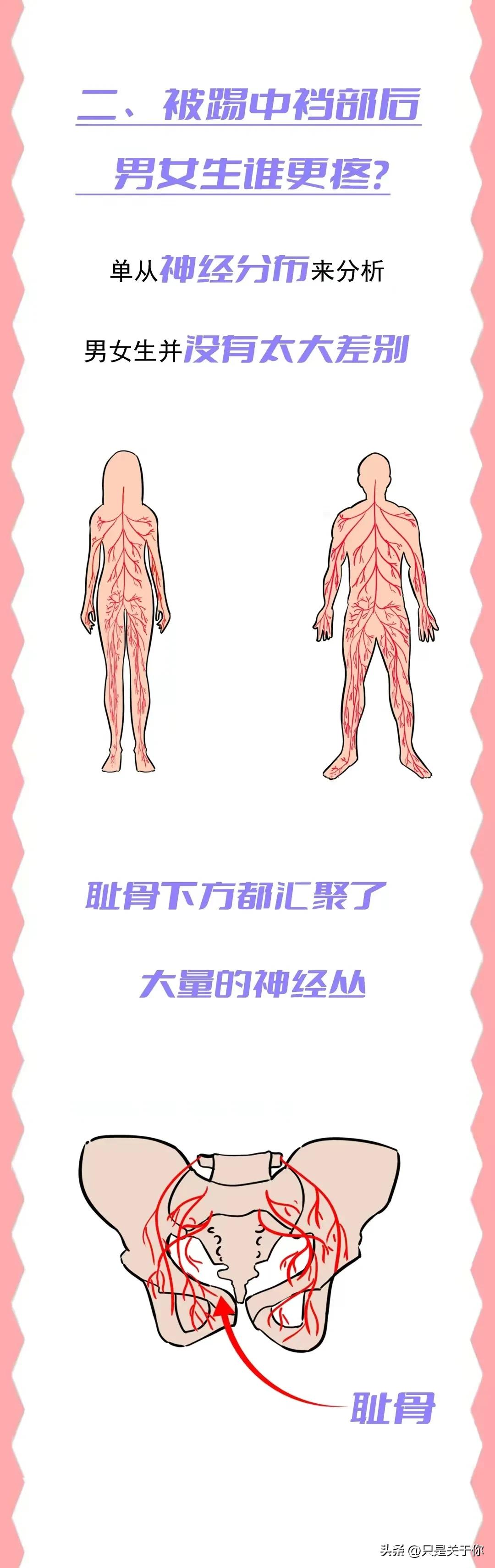 “*处私**”受到外力打击，男女谁的更疼？