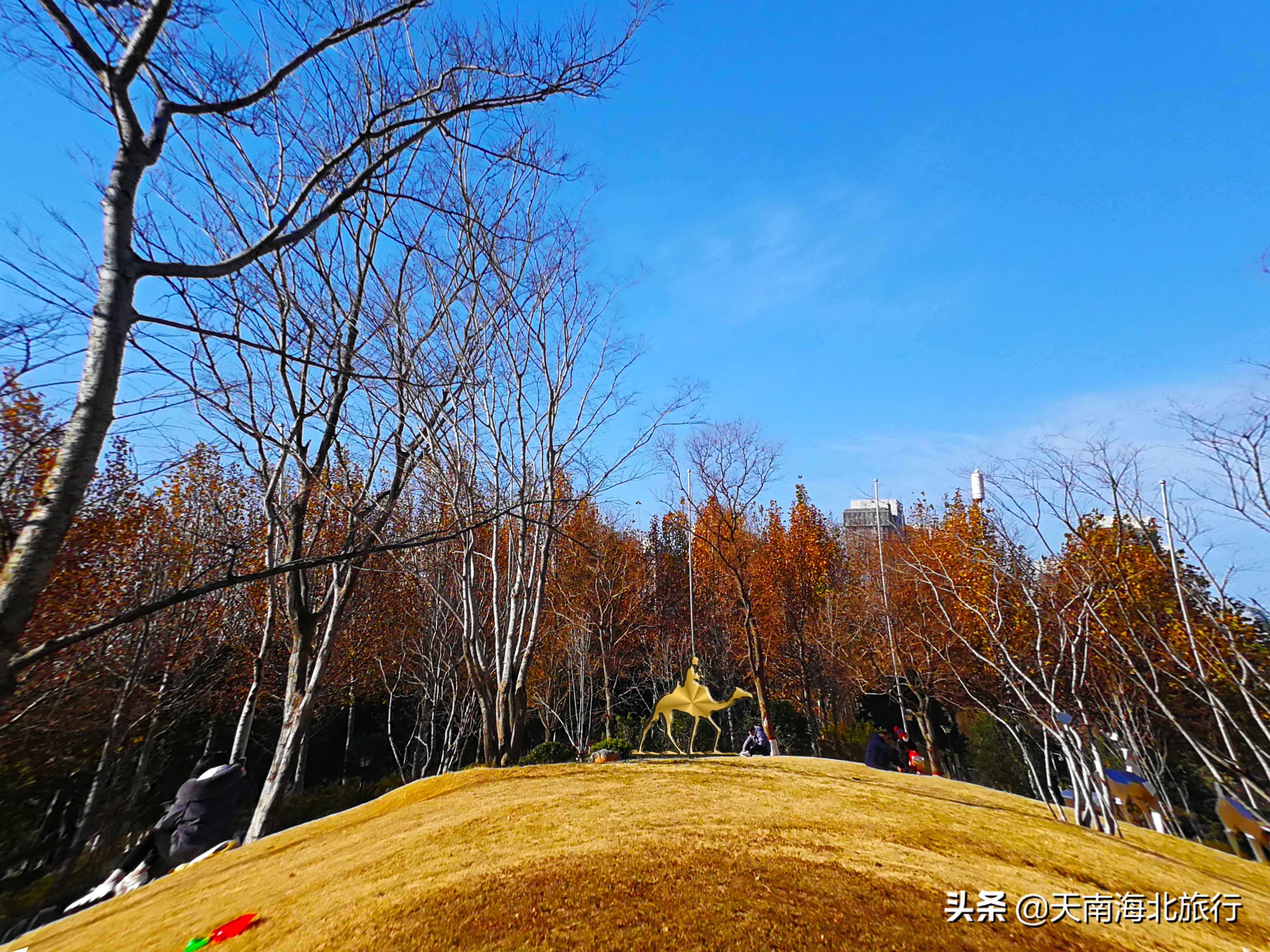 郑州，砂石、草坪、垂钓、运动、咖啡、图书馆……带孩可以玩一天
