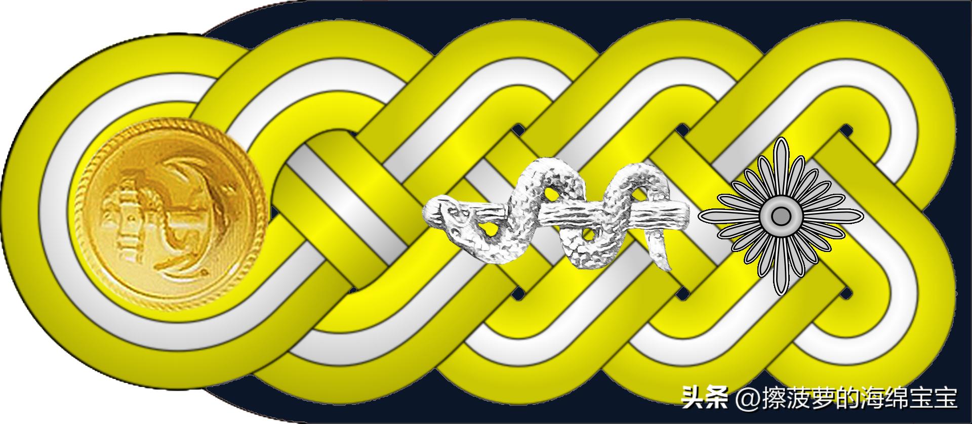 二战德国国防军医疗兵军衔标志