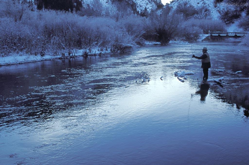 新手钓鱼入门基本知识,水库钓鱼技巧新手入门