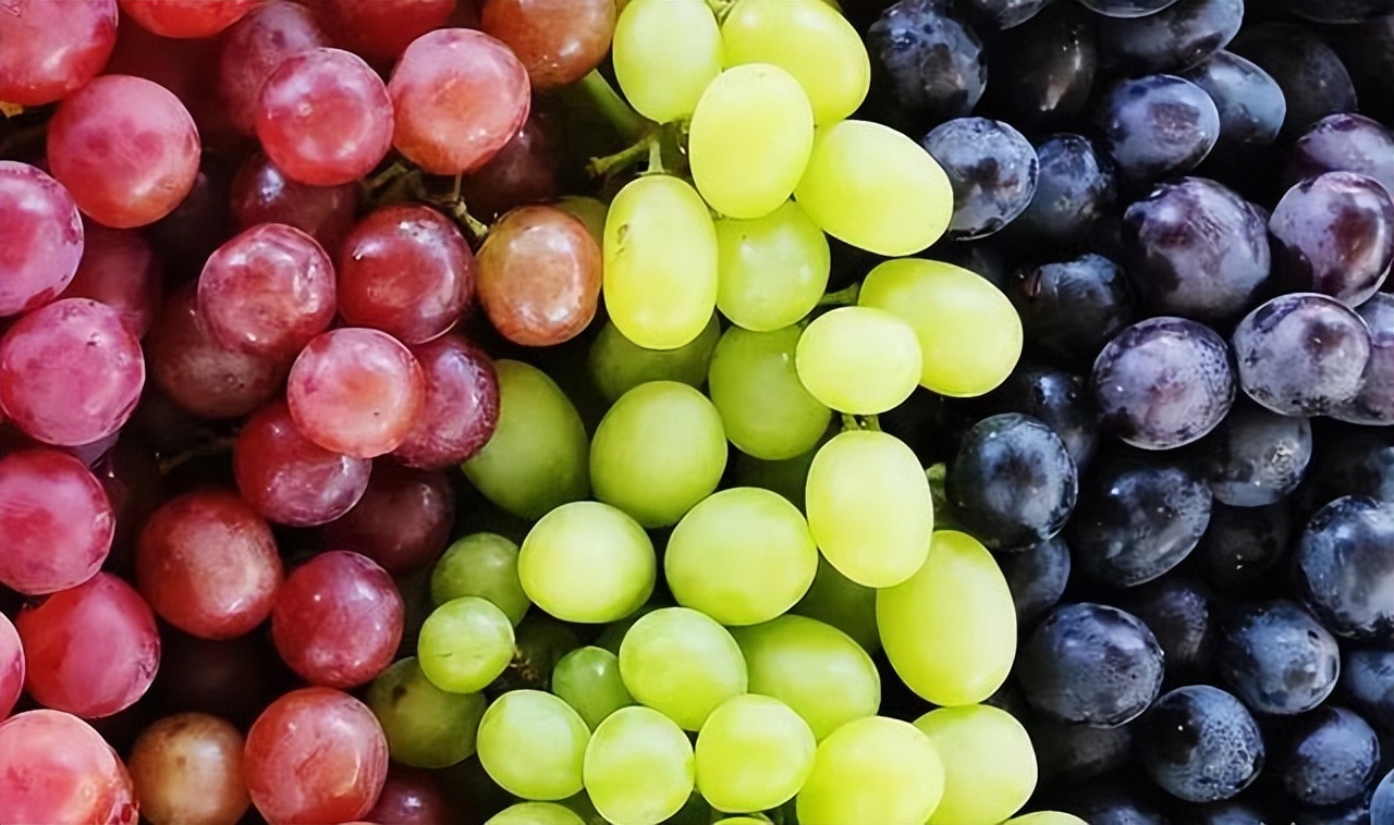 新疆瓜果为什么又甜又香,新疆种植的瓜果味道为什么特别甜