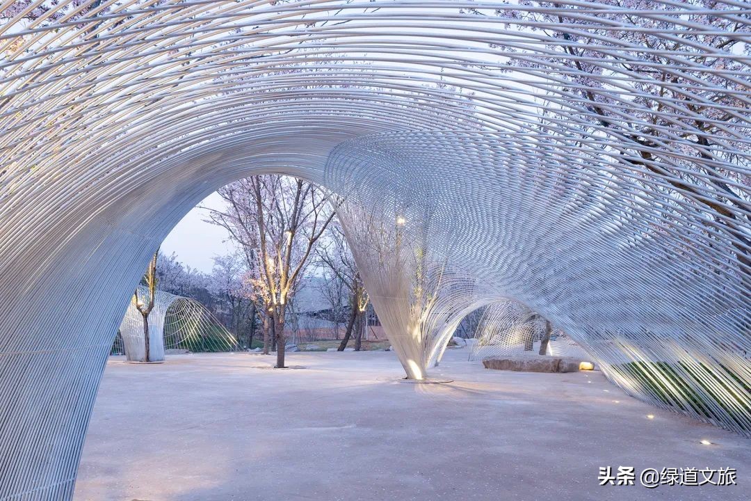 樱花树下的约定字体设计,樱花树下的约定完美国度