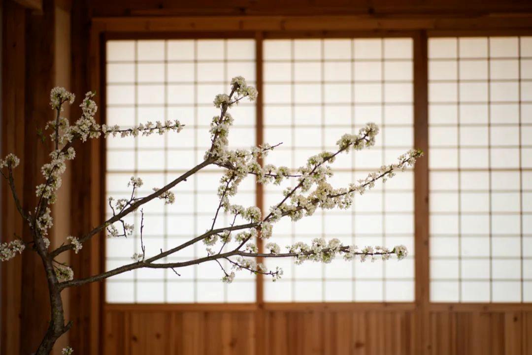 小楼周刊（289）：2022年第十九期