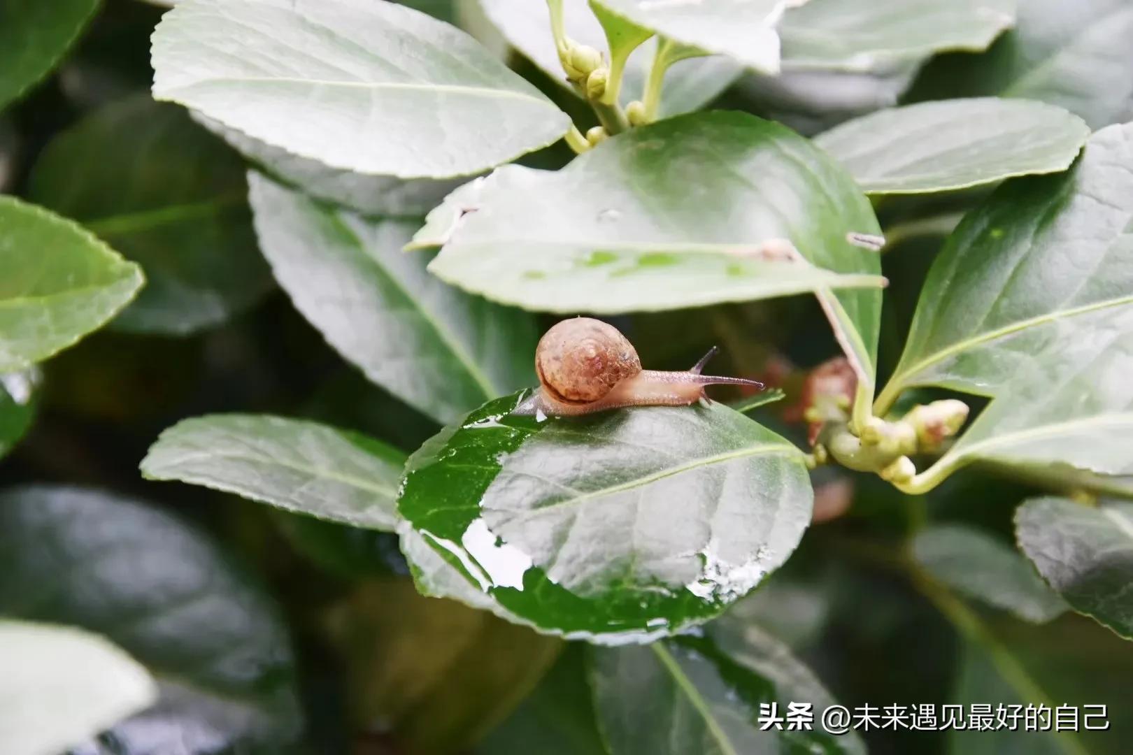 申报副高职称对专业有要求吗,申报副高职称