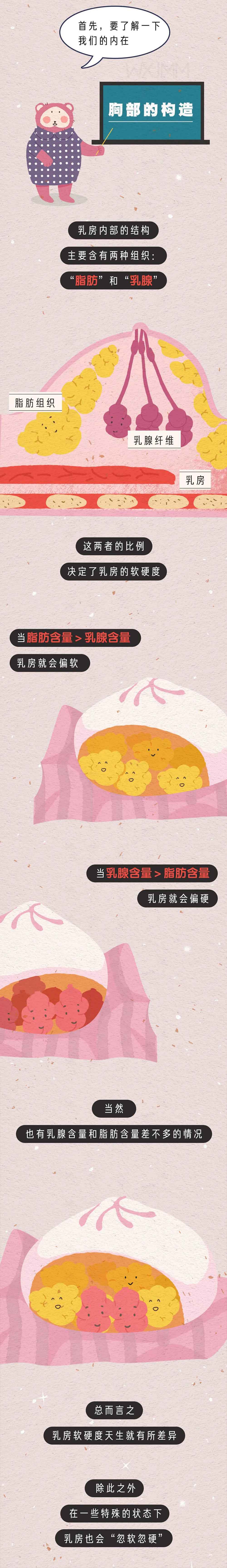 为啥女人的胸会“忽大忽小，忽软忽硬”？男生不要想歪了