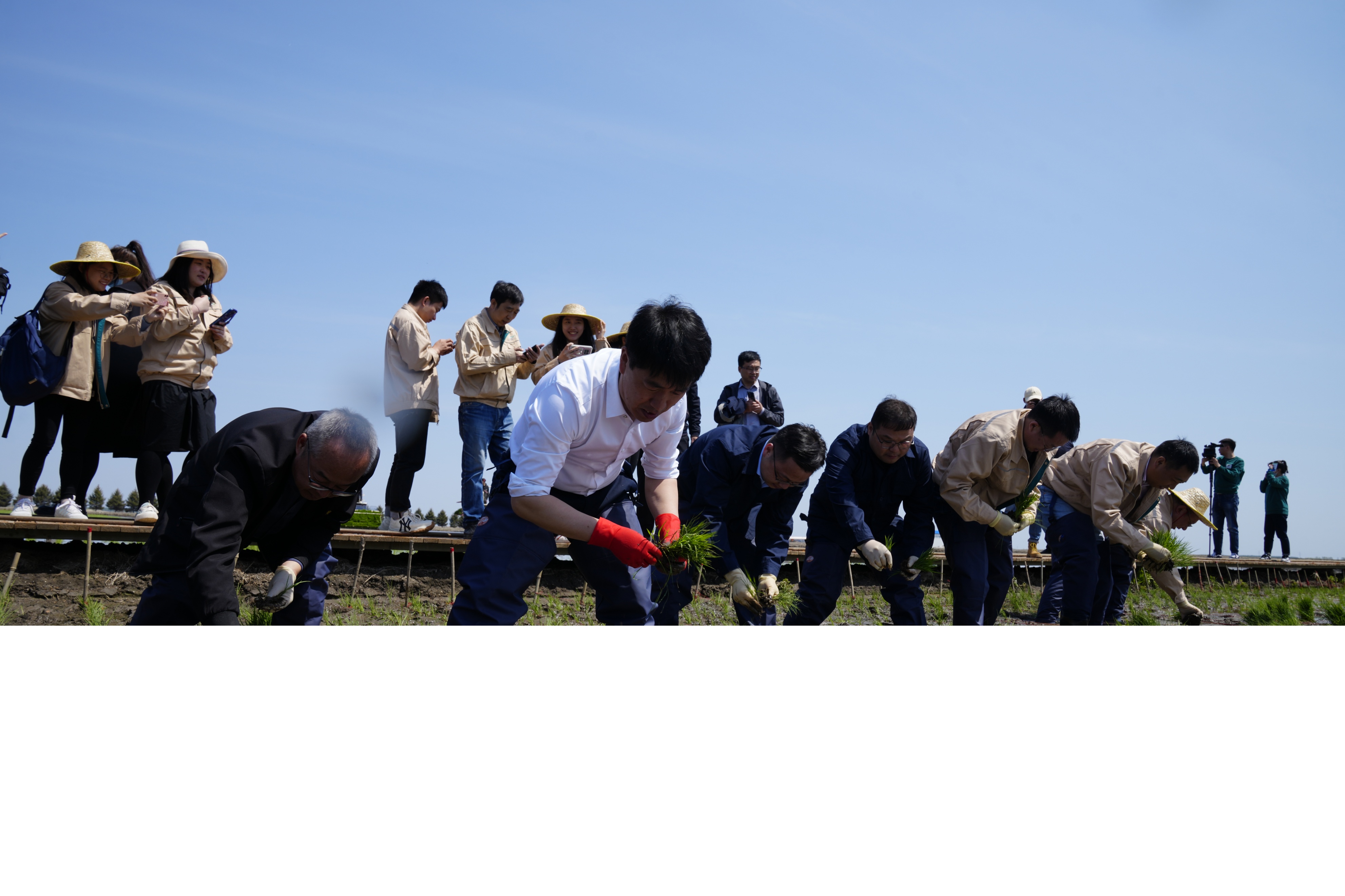 虎林春耕,黑龙江虎林春耕