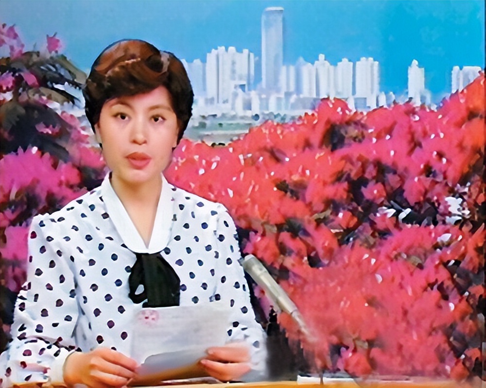 央视主持人李瑞英现在怎么样,央视新闻主播李瑞英个人简历