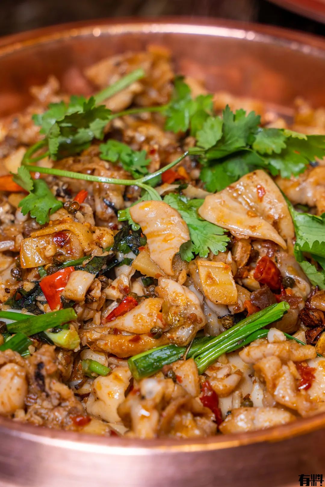 松山湖万象汇牛蛙团购,东莞牛蛙店