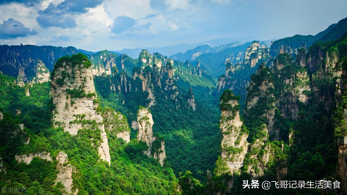 张家界必去的美食排名前十名,去张家界旅游必吃的小吃