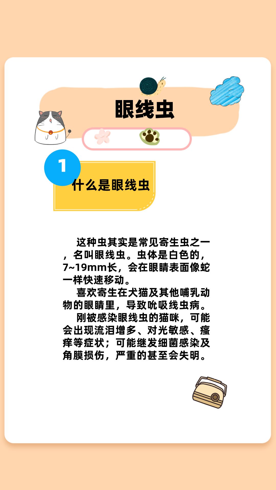 小奶猫如何预防真菌感染,如何判断猫咪是否有眼线虫