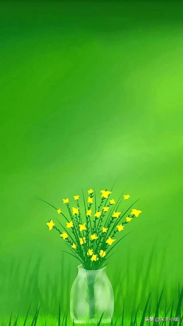 最美的手机壁纸大全,养眼养心的壁纸