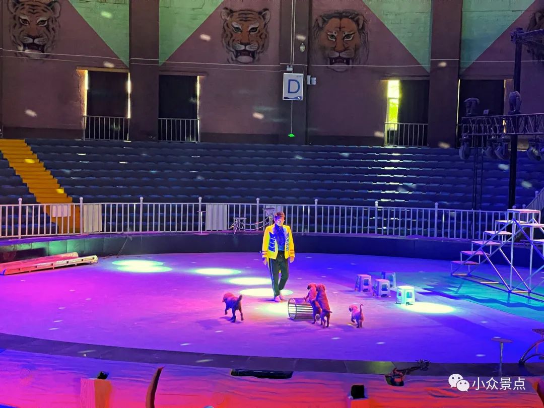 珍珠泉风景区：江北第一游观之所，南京后花园，老山绿色天堂~