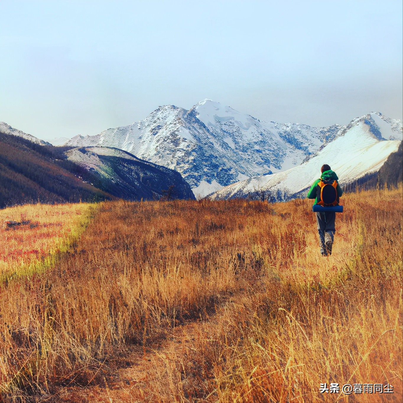 荒野生存十大绝望手段,荒野求生不是一件轻松的事情