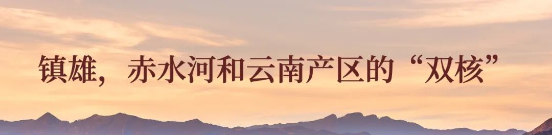 拐枣可以泡水和泡酒,拐枣与肉桂泡酒功效